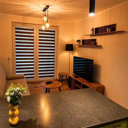 Sportova Elegance